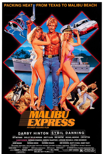 Expresso Malibu - Poster / Capa / Cartaz - Oficial 2