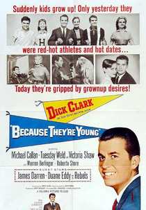 Because They're Young (Because They're Young)