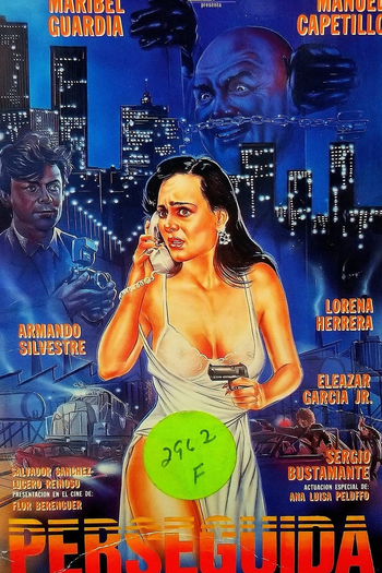 Poster de Filme Perseguida (1991)