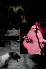 Tumitinhas (Tumitinhas)