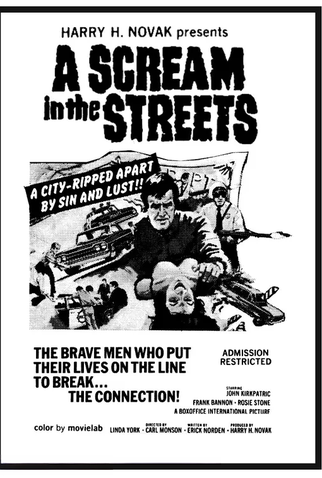 Poster 4 de Filme A Scream in the Streets (1973)
