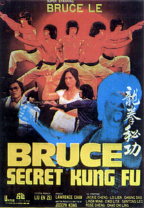 Bruce's Secret Kung Fu (Bruce's Secret Kung Fu)