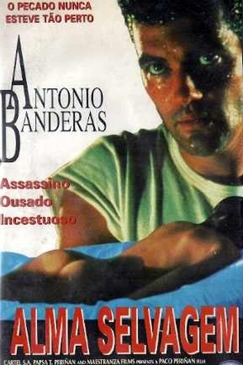 Poster de Filme Alma Selvagem (1990)