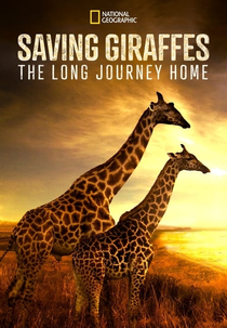 A Arca das Girafas (Saving Giraffes: The Long Journey Home)