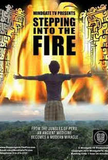 Stepping Into the Fire - Poster / Capa / Cartaz - Oficial 1