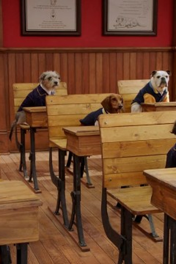 Poster de Episódio The Substitute (2019)