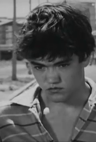 Ettore Garofolo