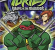 As Tartarugas Mutantes Ninja (3ª Temporada)