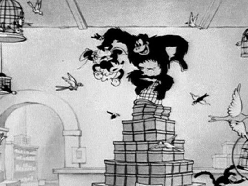 Foto 1 de The Pet Store