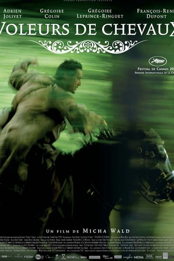 Poster de Filme Voleurs de chevaux (None)