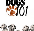 Dogs 101
