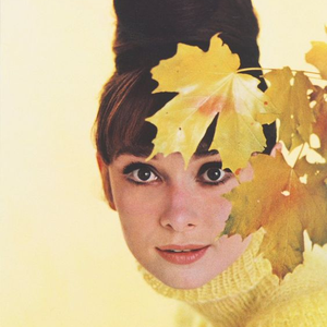 Foto de perfil de Audrey