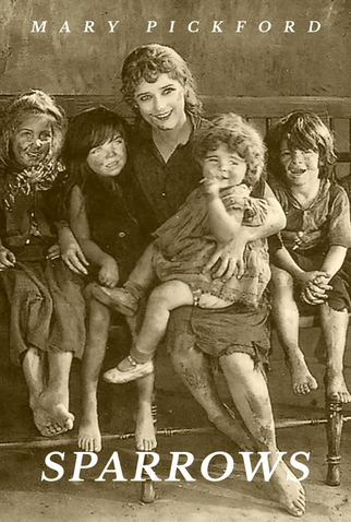 Poster 5 de Filme Aves sem Ninho (1926)