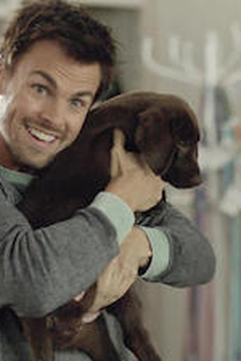 Poster de Episódio Animals (2015)