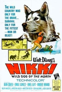 Nikki - O Cão Selvagem do Norte - Poster / Capa / Cartaz - Oficial 1