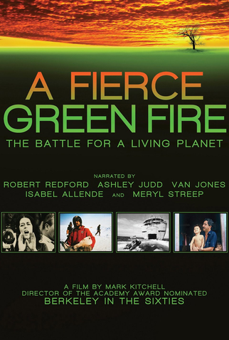 Poster 1 de Filme Uma Guerra Verde (2012)