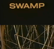 Swamp