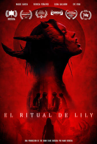 Poster 2 de Filme O ritual de Lily (2026)