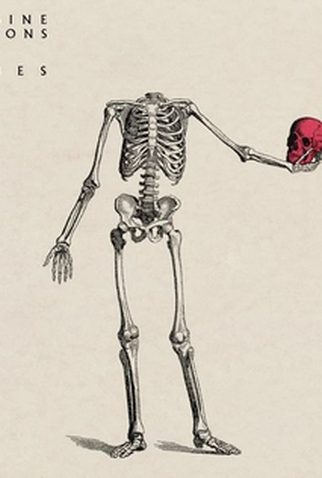 Poster 1 de Curta Imagine Dragons: Bones (2022)