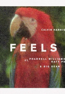 Calvin Harris Feat. Pharrell Williams, Katy Perry & Big Sean: Feels (Calvin Harris Feat. Pharrell Williams, Katy Perry & Big Sean: Feels)