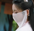 21集