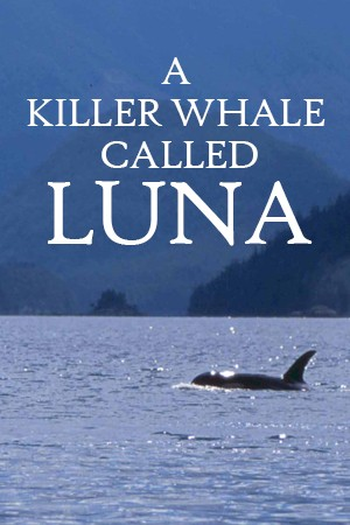 Poster de Filme Uma Orca chamada Luna (2010)