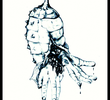 The Chrysalis