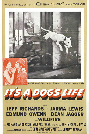  de Filme Aventuras de Um Cachorro (1955)