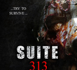Suite 313