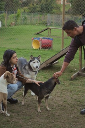 Poster de Episódio Episodio 26 (2026)