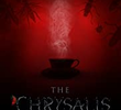 The Chrysalis