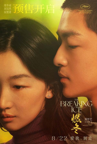 Poster 3 de Filme A Fragilidade do Gelo (2023)