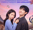 Um Grude de Amor