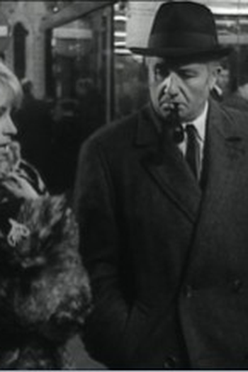 Poster de Episódio Maigret (1970)