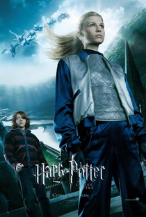 Harry Potter e o Cálice de Fogo - Poster / Capa / Cartaz - Oficial 7