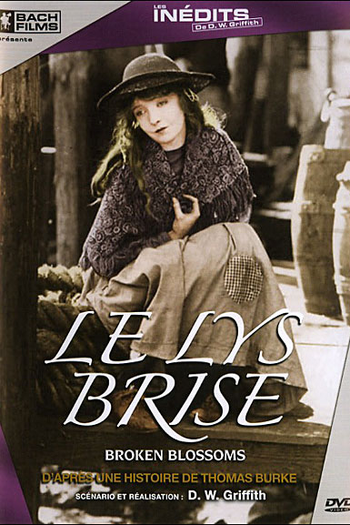  de Filme Lírio Partido (1919)