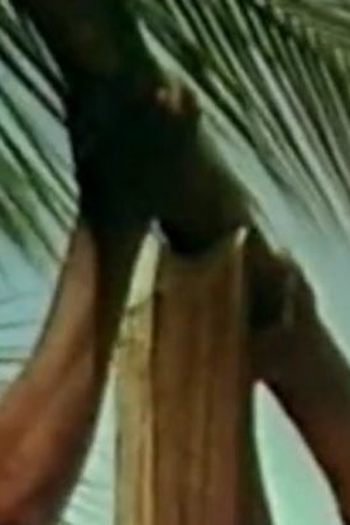 Poster de Curta Chão de Casa (1982)