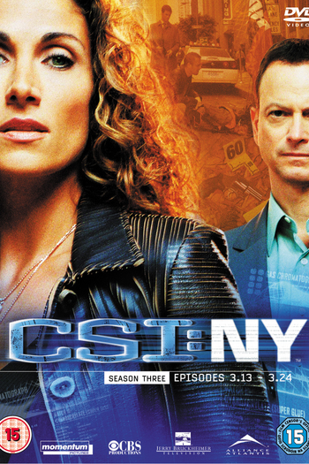 Poster de Série CSI: Nova Iorque (3ª Temporada) (2006)