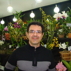 Foto de perfil de Paulo Souza