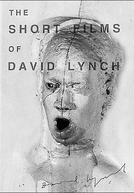 The Short Films of David Lynch (The Short Films of David Lynch)