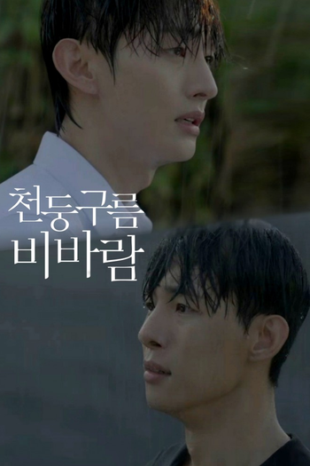 Poster de Franquia 천둥구름 비바람 (2025)