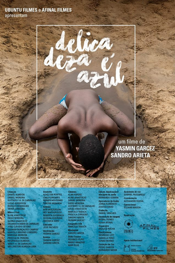 Poster de Filme A Delicadeza é Azul (2019)