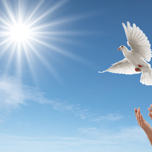 Foto de perfil de Adriana Macedo