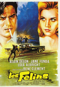 Jaula Amorosa (Les félins)