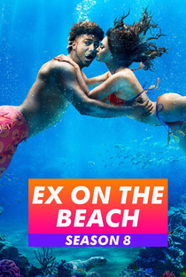 De Férias com o Ex (8ª Temporada) - Poster / Capa / Cartaz - Oficial 1