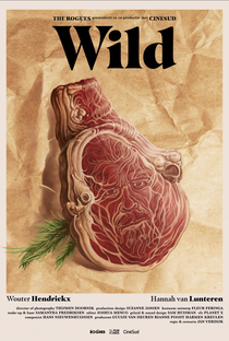 Wild - Poster / Capa / Cartaz - Oficial 1