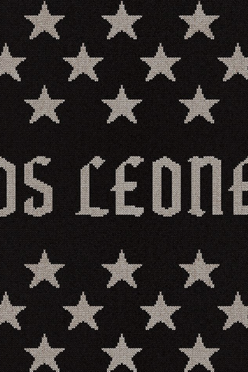 Poster de Filme Los Leones (2016)