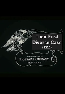 Their First Divorce Case (Their First Divorce Case)