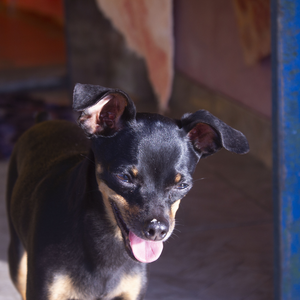 Foto de perfil de Leticia M.