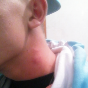 Foto de perfil de Diego